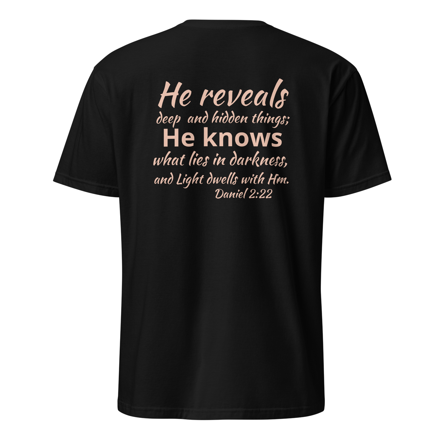 Revealer, Revealer of Truth, Holy Spirit, Daniel 2:22, God, Jesus, Christian, Faith